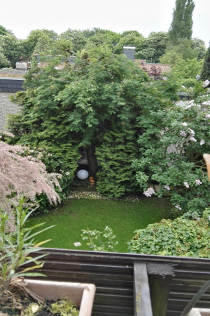 Foto: Blick in den Garten